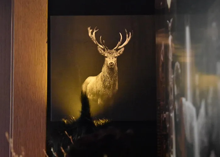 236 Woerthersee - Adults Only & Self Check-in